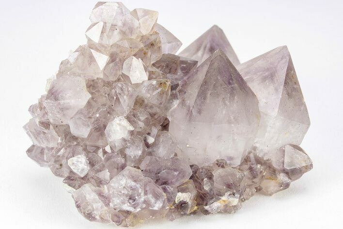 Cactus Quartz (Amethyst) Crystal Cluster - South Africa #206259